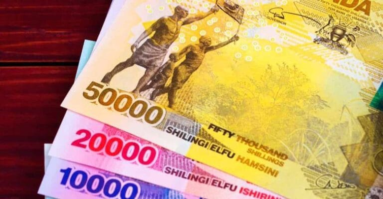 Bank Notes