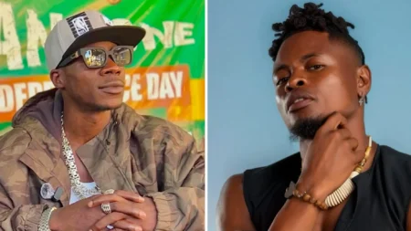Alien skin Pallaso