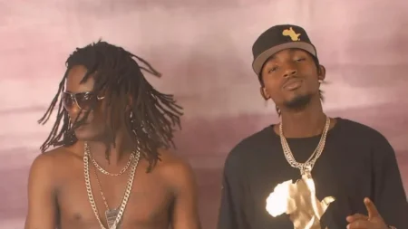 Radio and Weasel
