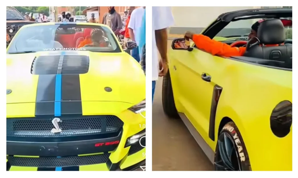 Alien Skins Ford Mustang