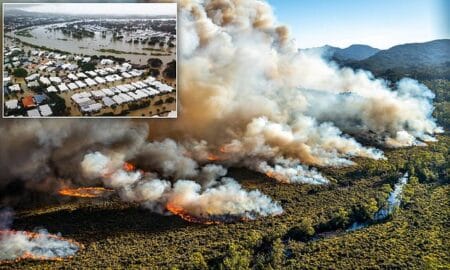 Floods in Townsville and Fires in Victoria