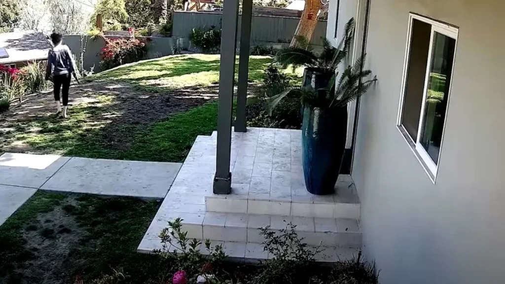 Weezer Stars Wife Shot