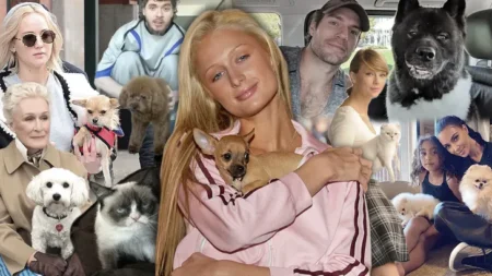 Celebs Their Scene Stealing Pets