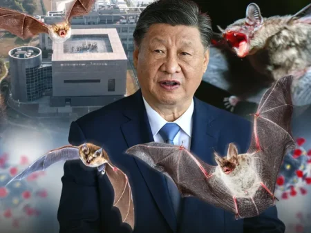 China Blames the U.S. for COVID Origins