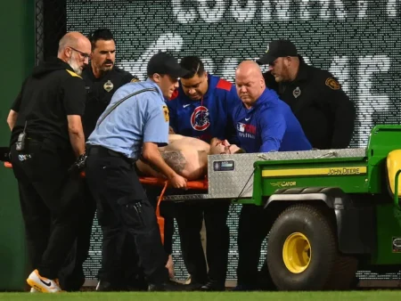 MLB Fan Suffers Severe Injuries