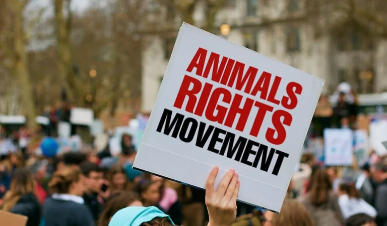 animal rights movement
