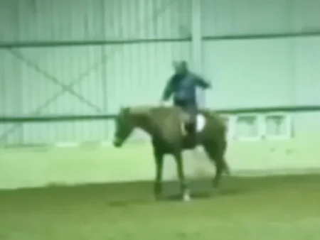 Olympic Rider Heath Ryan Suspended After Shocking Horse Whipping Video Heath Ryan