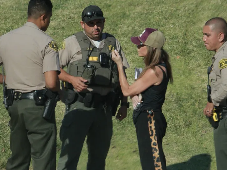 Denise Richards talk to cops
