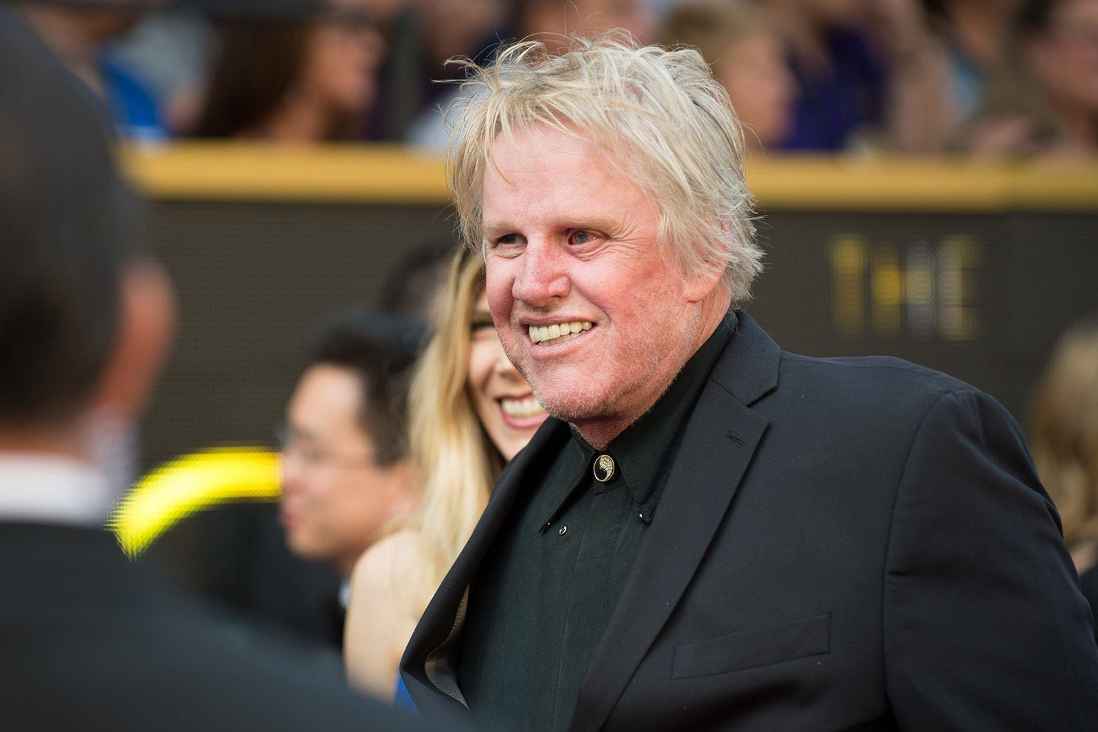 Gary Busey Pleads Guilty to Groping Fan After Years of Denial