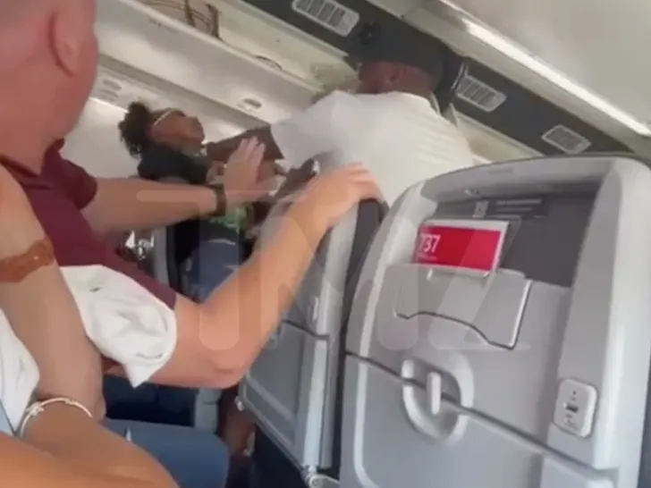 Passenger Fight Breaks Out on American Airlines Flight in Miami TMZ
