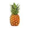 Pineapple Profile
