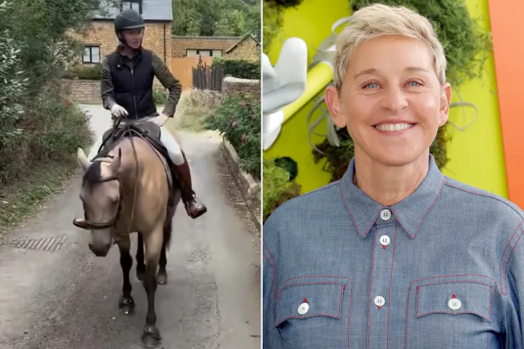 Portia De Rossi Ellen DeGeneres