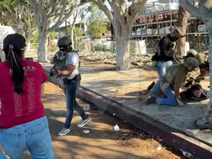 SWARMED BY ICE AGENTS- TMZ