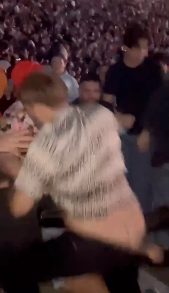 Man Arrested for Brutally Beating Woman at Rüfüs Du Sol Concert 2 The viral video shows a man savagely beating a woman