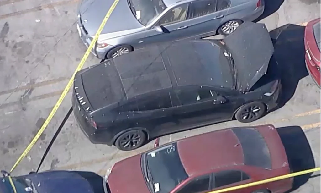 Grisly Discovery: Decomposed Body Found in Singer D4vd’s Tesla Decomposed Body Found in Singer D4vds Tesla