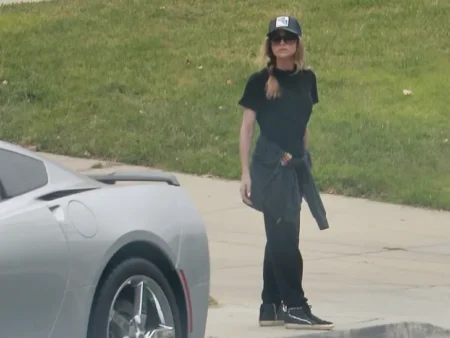 Denise Richards Moves Out With 15 Dogs Amid Divorce Drama