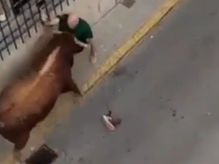 Spectator Gored to Death at Festival