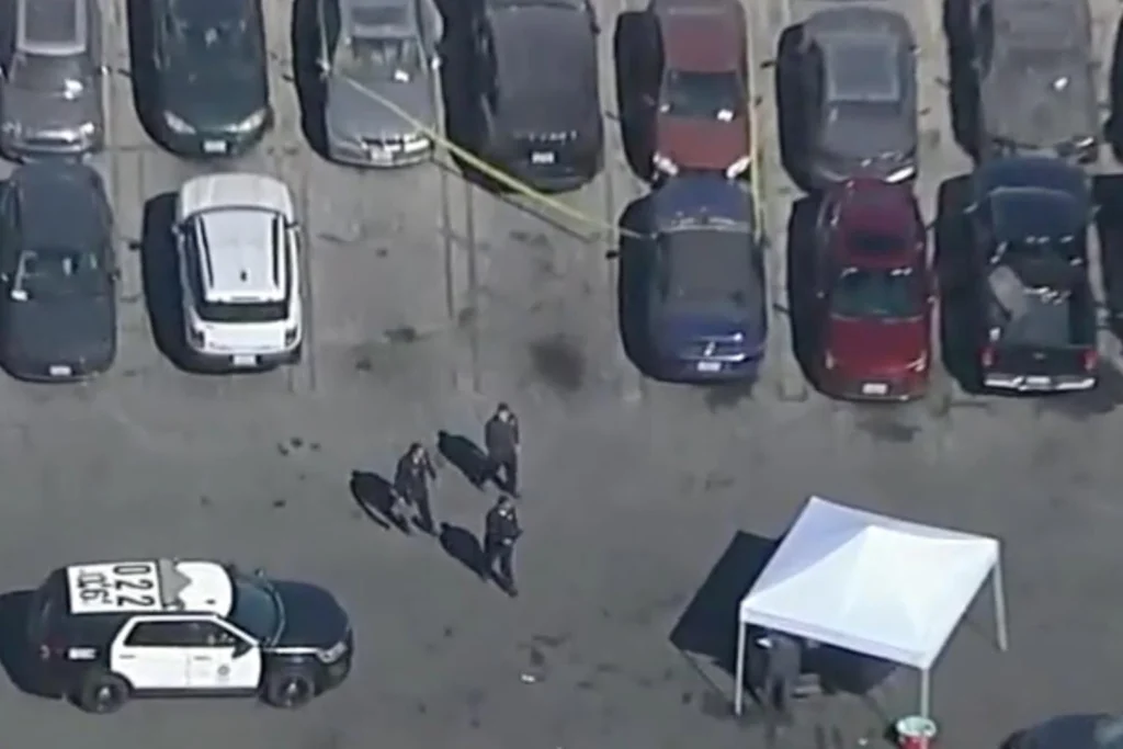 The Tesla was discovered in a tow yard in Los Angeles