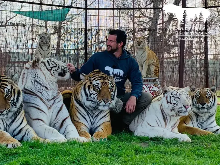 Tiger Attack Kills Joe Exotic’s Former Associate in Oklahoma Tiger Attack Kills Joe Exotics Former Associate in Oklahoma