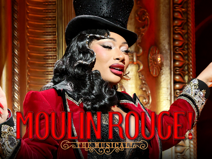 Megan Thee Stallion Hospitalized After Broadway Scare