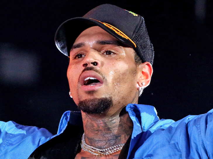 Intruder Arrested at Chris Brown’s Mansion After Fence Jump Chris Brown