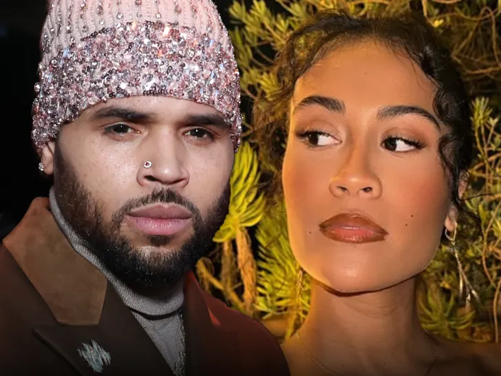 Chris Brown Hauled to Court Over One Child Days Before Having Another 6 hris Browns Baby Mama Diamond