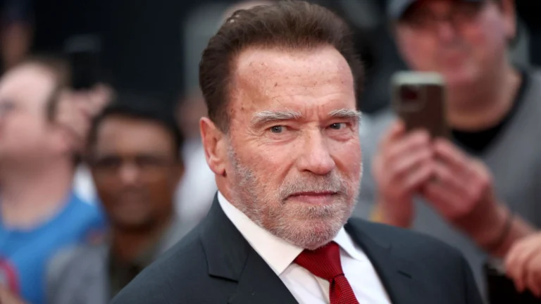 Arnold Schwarzenegger Seeks More Security for Car Crash Hearing Arnold Schwarzenegger
