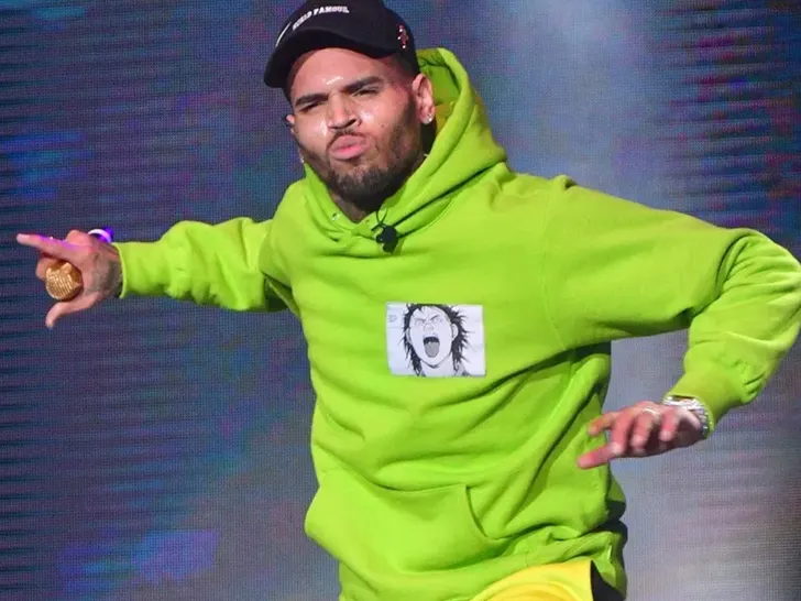 Chris Brown’s L.A. Mansion Hit Again as Trespasser Arrested in Latest Scare 1 Chris Brown's Performance pic