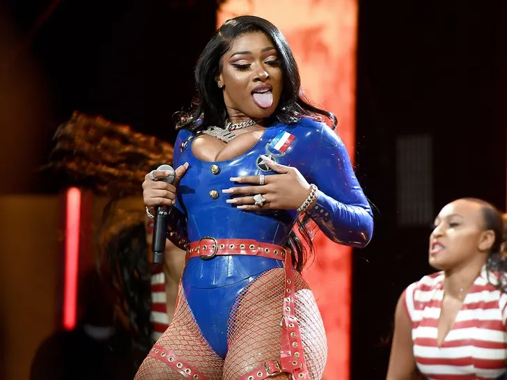 Megan Thee Stallion Wants $75K Bond as Legal Battle Continues 6 Meg's Performance Pics
