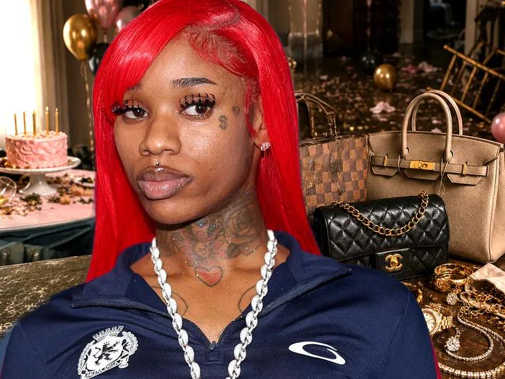 Sexyy Red Sues Security Guard After $500K Mansion Burglary Sexyy Red