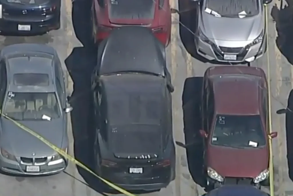 Photos Show Air Fresheners Inside D4vd's Tesla at Hearing 5 The Tesla where the decomposing body was found
