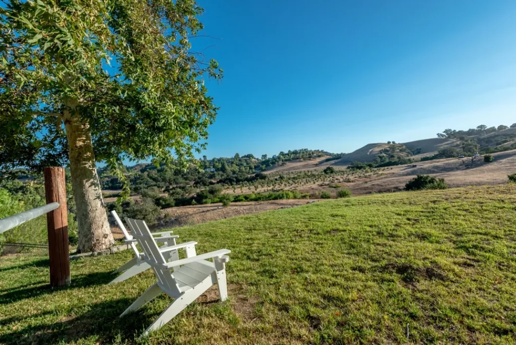 Designer Betsey Johnson Lists Hidden Hills Home
