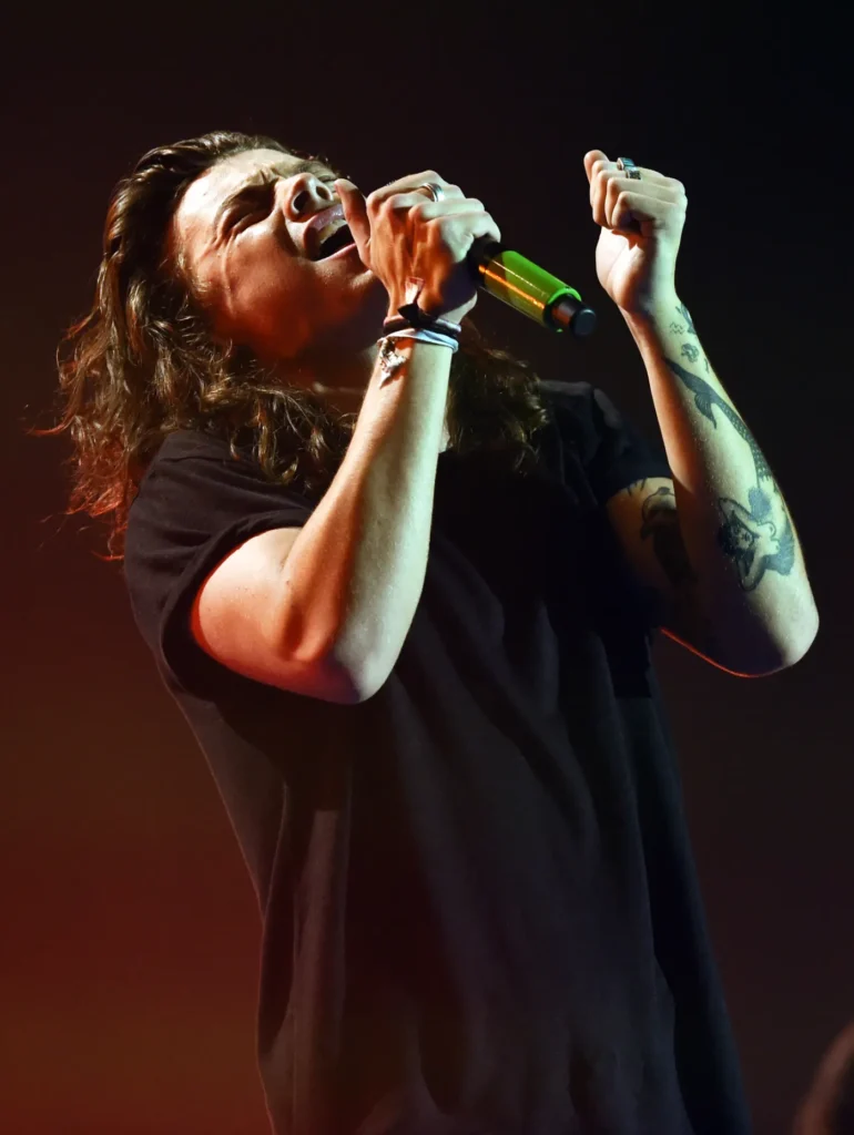 Harry Styles Invited to Taylor Swift's Reported Wedding 6 Harry Styles perform