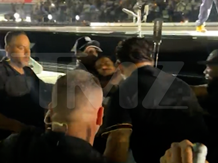 Jay Z Fans Fight With Security During Saturday Concert at Yankee Stadium, Video Shows