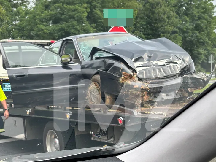 Kaylee Hottle's Death Ruled an Accident, Examiner Says 6 Kaylee Hottles Death Ruled an Accident After Fatal Maryland Car Crash tmz