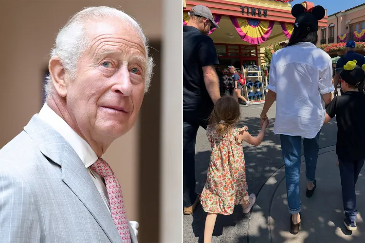King Charles Reunites With Prince Harry, Meghan and Kids at Private Visit 5 King Charles; Prince Harry, Meghan Markle, Prince Archie and Princess Lilibet.