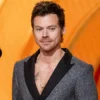 harry styles