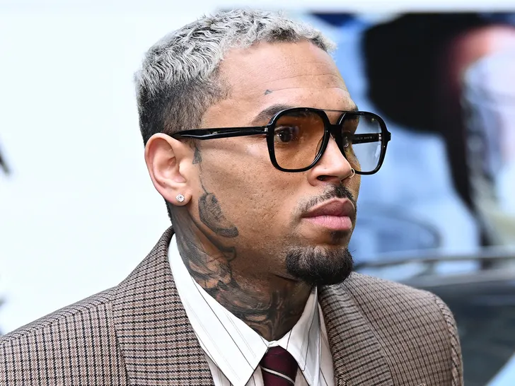 Chris Brown’s Tour Money Could Help Pay $13M Judgment 4 Chris Brown