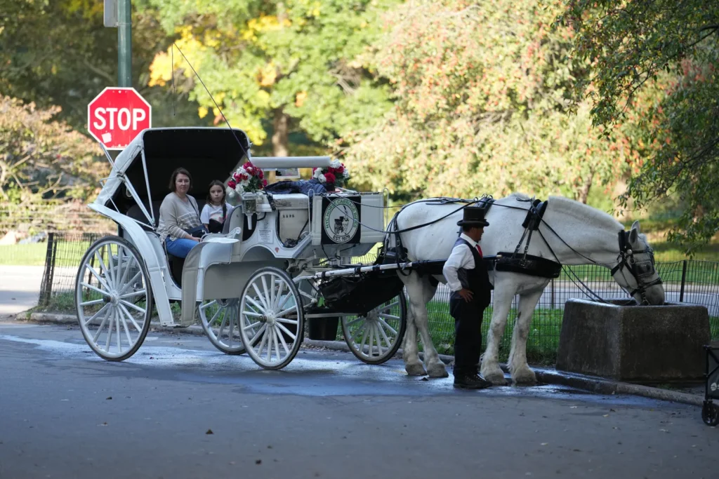People ride in a horse drawn carriage in Central Park on Tuesday, Oct. 13, 2026