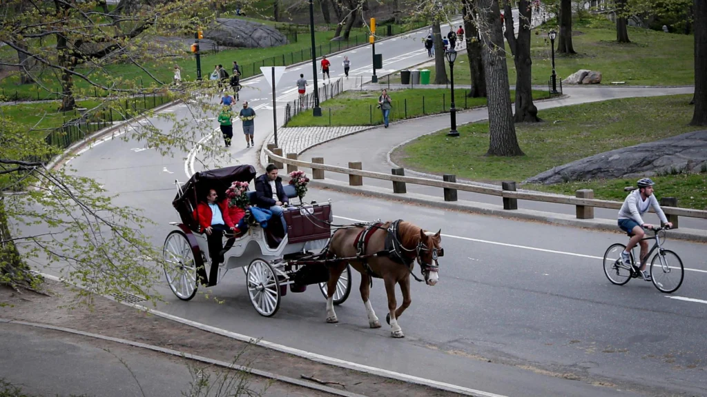 This April 28, 2014 file photo shows people riding in a horse drawn carriage in Central Park in New York.